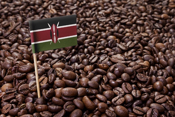 café au Kenya
